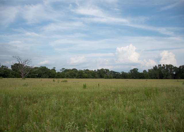 Property at 1202 County Road 2255, Grapeland, TX 75844