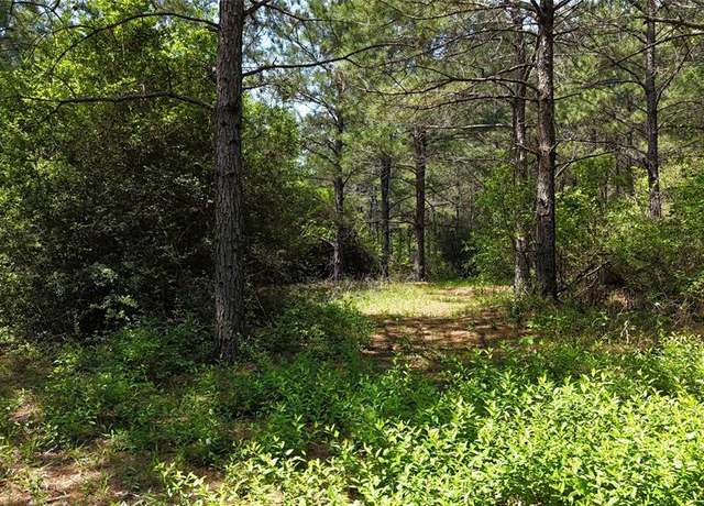 Property at TBD Lampasas Ln, Lovelady, TX 75851