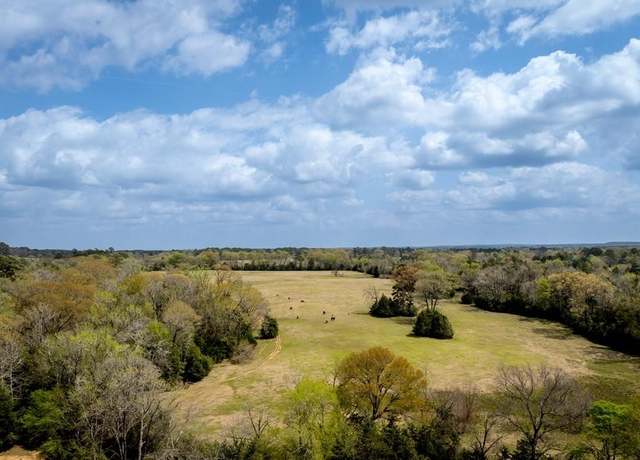 Property at 13634 N Fm 2022, Grapeland, TX 75844