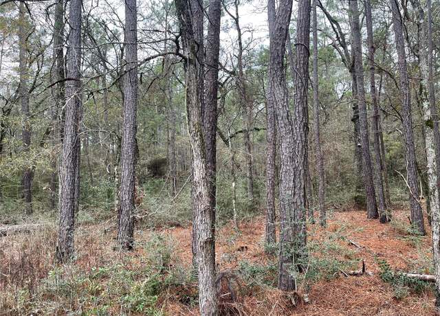 Property at lot 20 Hackberry Dr, Plantersville, TX 77363