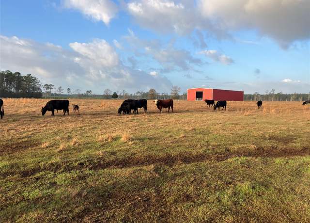Property at 1450 Cr 1450, Warren, TX 77664