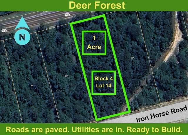Property at 323 Iron Horse Rd, Willis, TX 77378