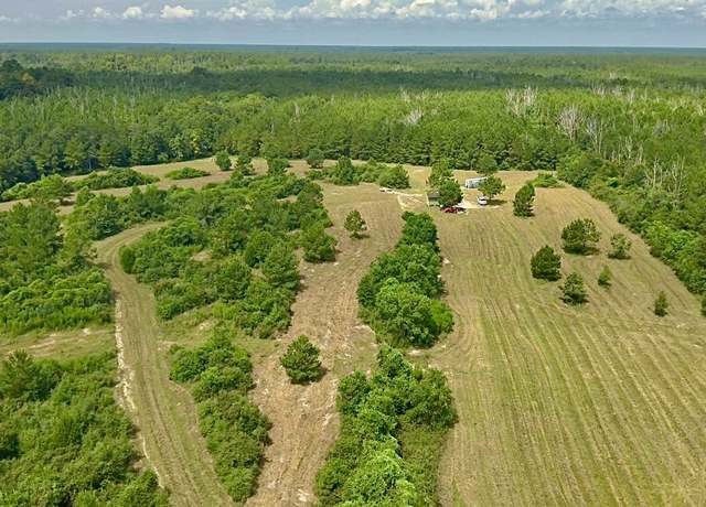 Property at 81363 George Sanner Rd Rd, Village Mills, TX 77663
