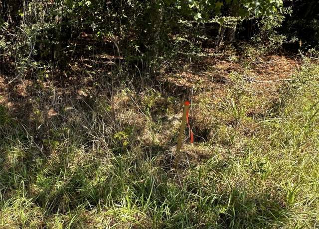 Property at 000 Hwy 87, Kirbyville, TX 75956