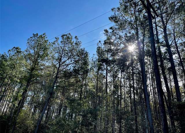 Property at 6 +/- Acs Cr 3400, Colmesneil, TX 75938