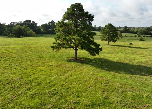 Property at 1605 Spring Branch Rd, Montgomery, TX 77316, 1 bath