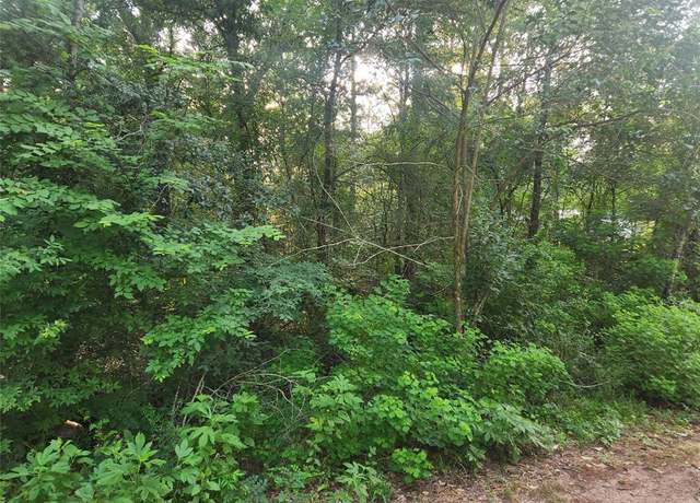 Property at Lot 20 Mossyknoll Dr, Plantersville, TX 77363
