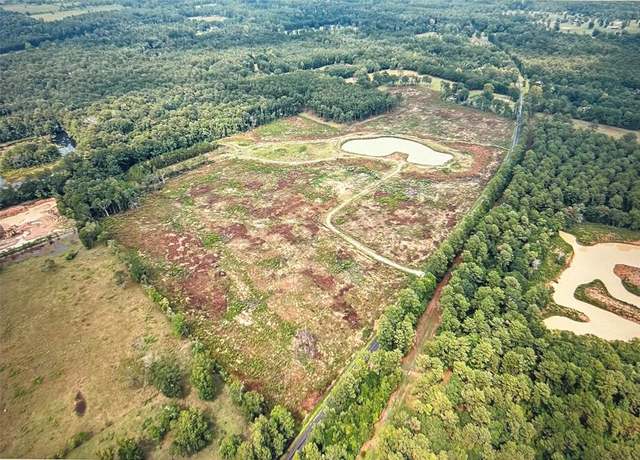 Property at TBD Lot 1 County Road 2184, Cleveland, TX 77327