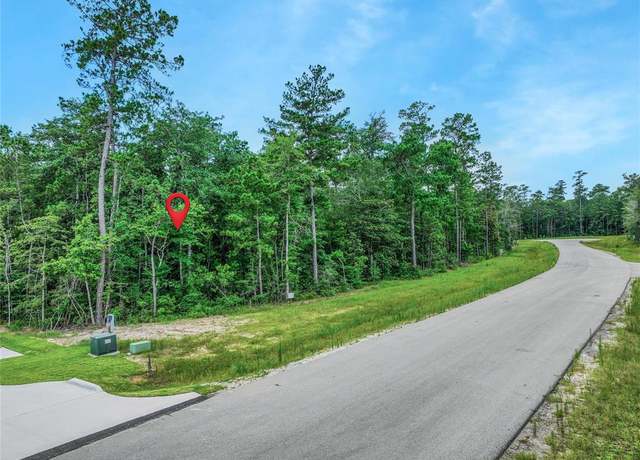 Property at 103 Eagle Run Rd, Willis, TX 77378