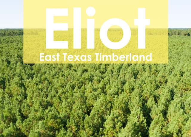 Property at T45 Easement Road Off Fm 355, Groveton, TX 75845