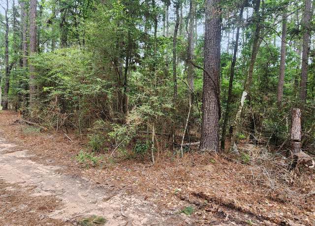 Property at 277 Long King, Livingston, TX 77351