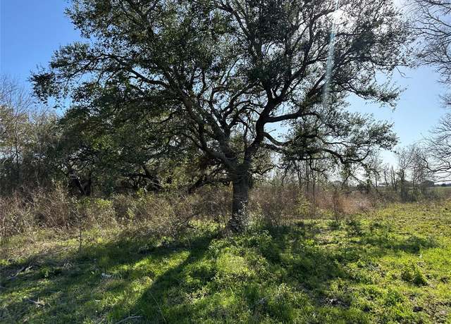 Property at 1E - 5E County Road 206 Dr, Sargent, TX 77414