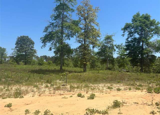Property at 142 Dove Hill Cir, Livingston, TX 77351