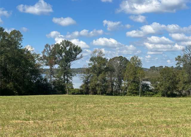 Property at 153 Cr 3352, San Augustine, TX 75972