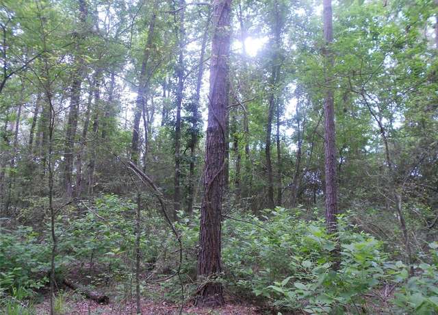 Property at TBD Fm-233, Groveton, TX 75845