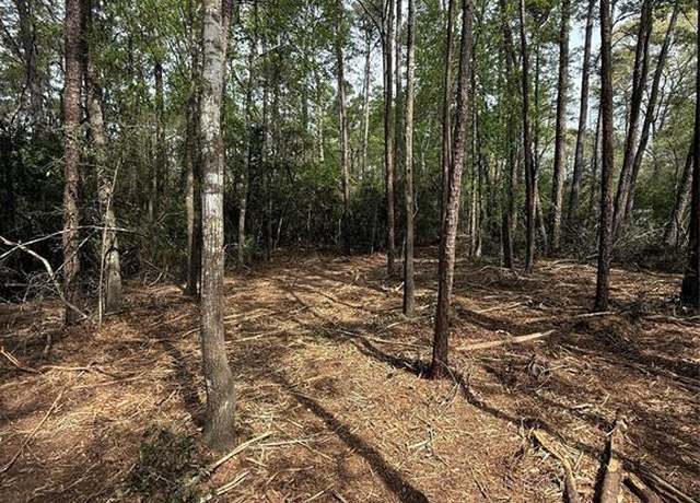 Property at TBD Roughneck Rd, Conroe, TX 77306