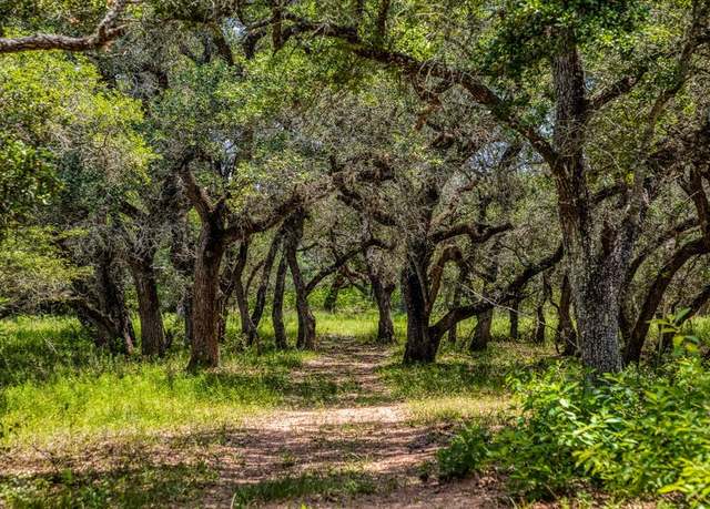 Property at 0000 Sandy Creek Rd, Garwood, TX 77442