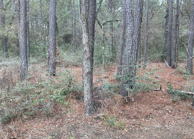 Property at lot 19 Hackberry Dr, Plantersville, TX 77363