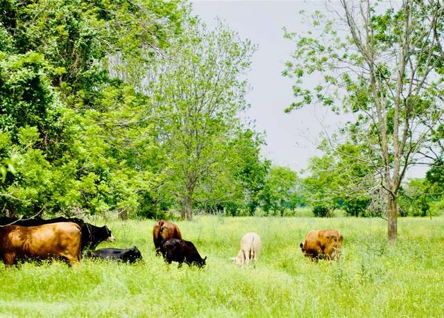 Property at TBD 1 Fm 1887 Rd, Hempstead, TX 77445