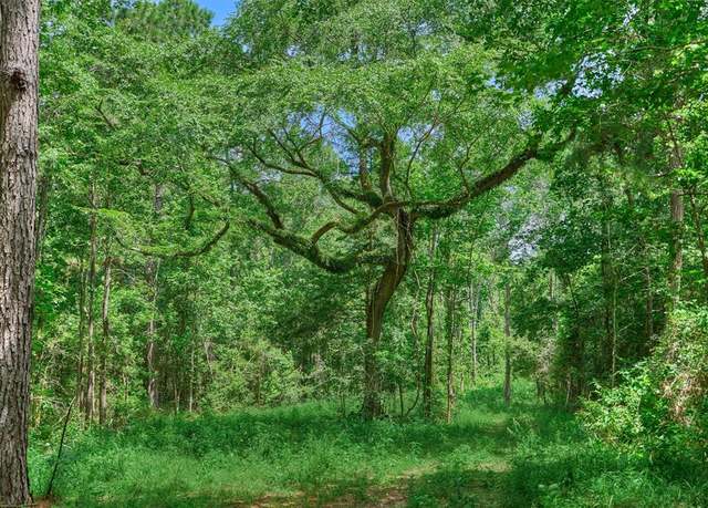Property at Tract C Sharp View Rd, Montgomery, TX 77356