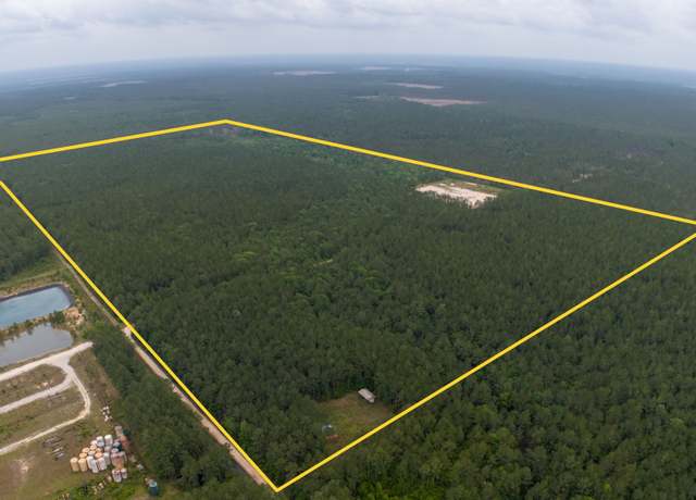 Property at 386 Buddy Brown Rd, Livingston, TX 77351