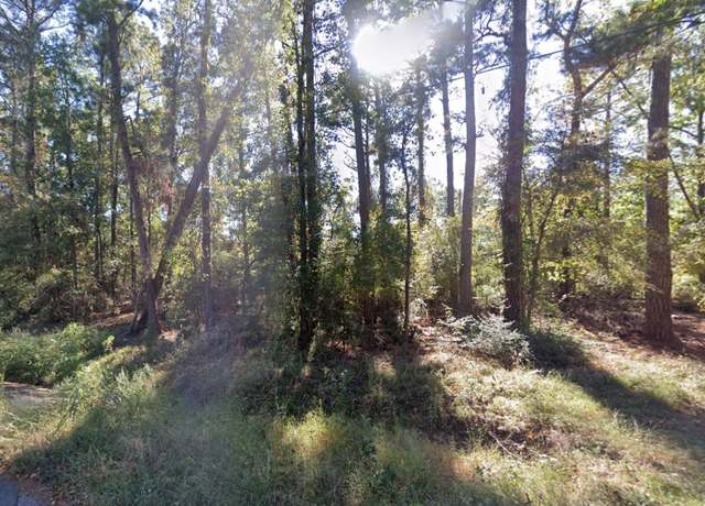 Property at TBD Parkview Dr Dr, Onalaska, TX 77360