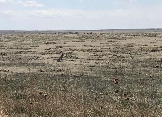 Property at 0 Wcr 85, Briggsdale, Other, CO 80611