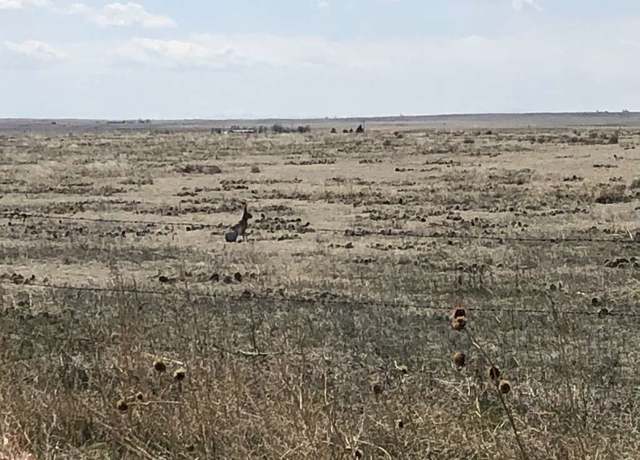 Property at 0 Wcr 85, Briggsdale, CO 80611