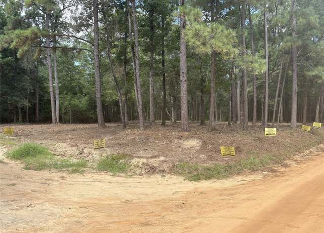 Property at 0 Deane Dr, Livingston, TX 77351