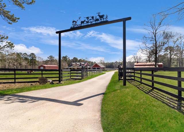 Property at 592 Buffalo Subdivision, Livingston, TX 77351, 4 beds
