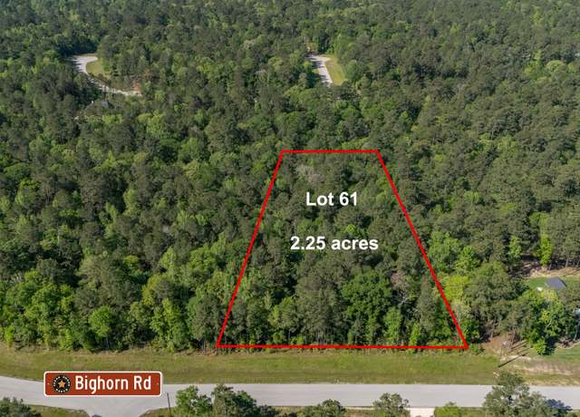 Property at 1 Bighorn Rd, Huntsville, TX 77340