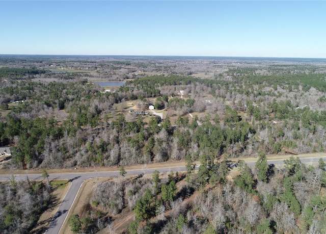 Property at 317 Iron Horse Rd, New Waverly, TX 77358