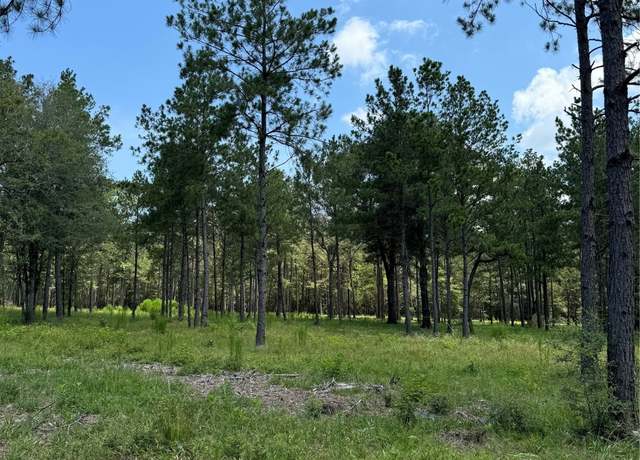 Property at 8576 Us-190 W, Livingston, TX 77351
