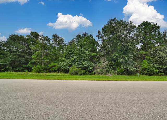 Property at 26180 Enzos Way, Montgomery, TX 77316