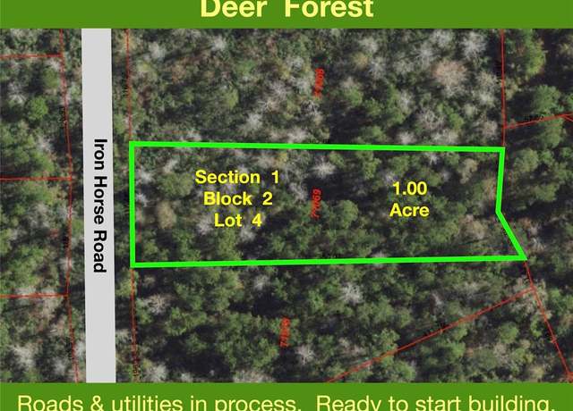 Property at 284 Iron Horse Rd, New Waverly, TX 77358