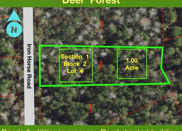 Property at 284 Iron Horse Rd, New Waverly, TX 77358