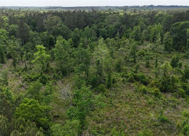 Property at TBD J Hickman Rd, Leggett, TX 77350