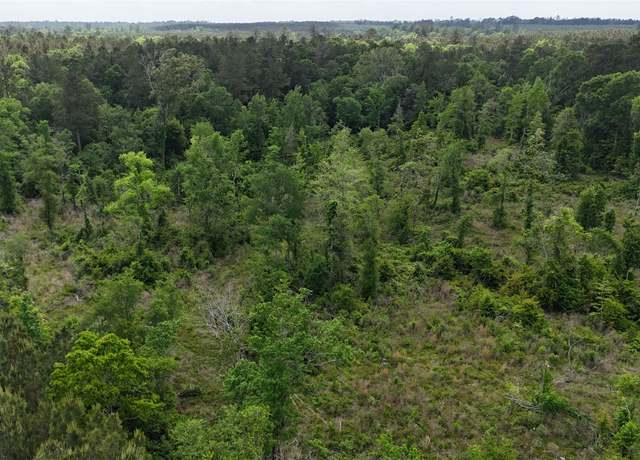 Property at TBD J Hickman Rd, Leggett, TX 77350