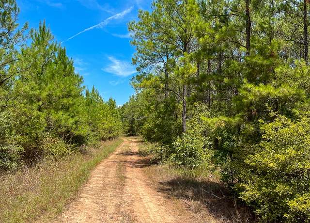 Property at 0 Lost Indian Camp Rd, Huntsville, TX 77320