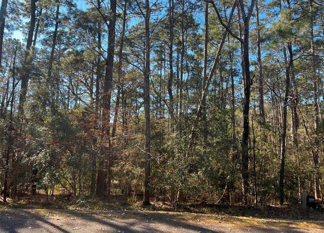 Property at 61 Sunny Hill Dr, Coldspring, TX 77331