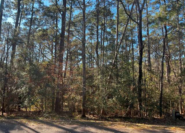 Property at 61 Sunny Hill Dr, Coldspring, TX 77331
