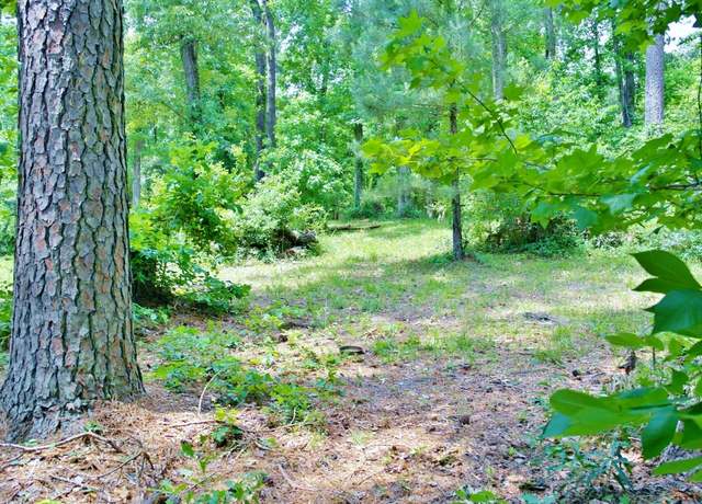 Property at Lot 695 Lake Shore Dr, Coldspring, TX 77331
