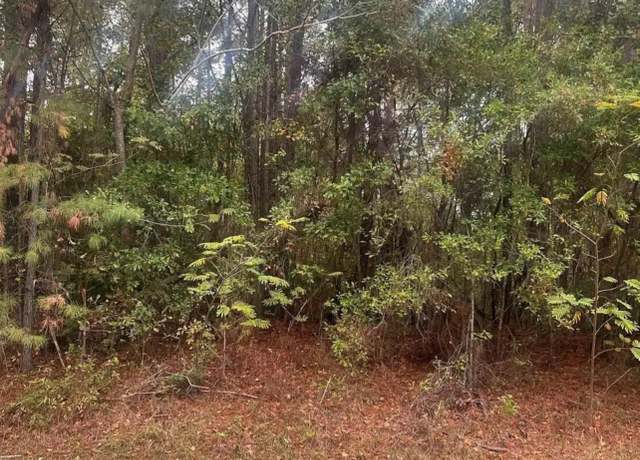 Property at 00 Fm-1415 S, Burkeville, TX 75932