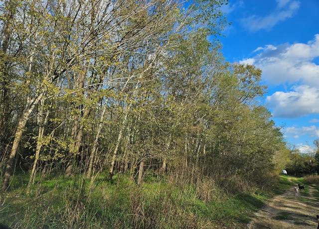 Property at TBD Briarhill Lot 119 Ln, Coldspring, TX 77331