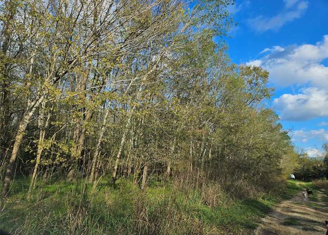 Property at TBD Briarhill Lot 119 Ln, Coldspring, TX 77331