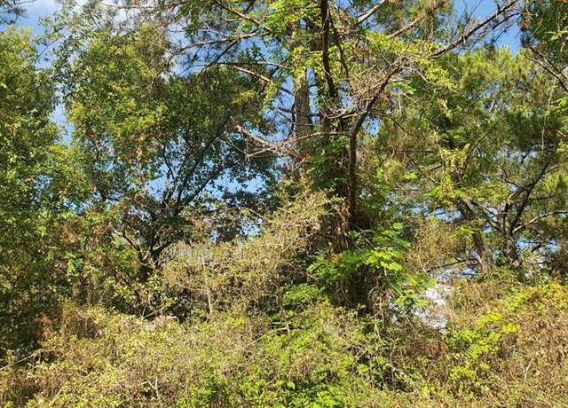 Property at Lot 33 Drake Ln, Hempstead, TX 77445