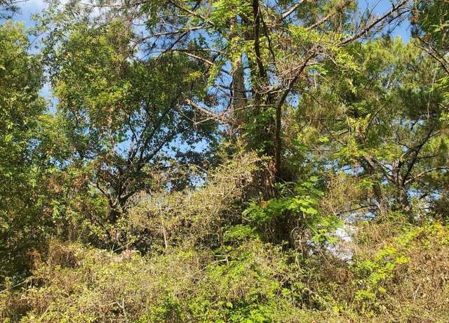 Property at Lot 33 Drake Ln, Hempstead, TX 77445