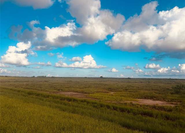 Property at 0-4.9 acres Fm 2918 Rd, Brazoria, TX 77422