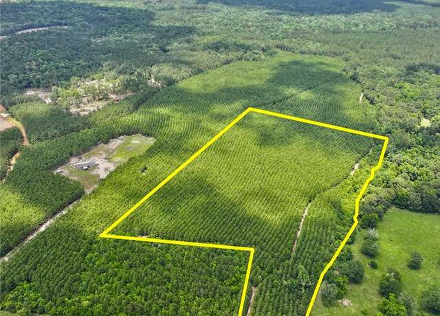 Property at TBD Menard Chapel Rd, Livingston, TX 77351