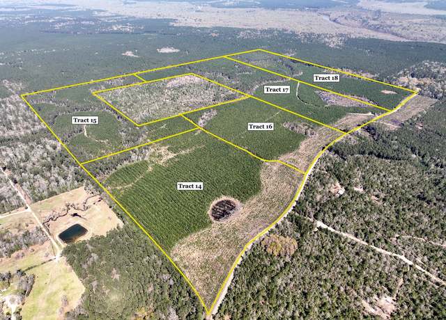 Property at 00000 County Rd 4415, Spurger, TX 77660